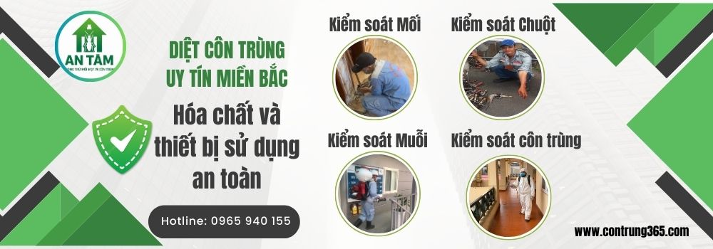 diệt côn trùng an tâm