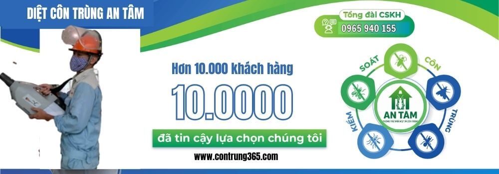 diệt côn trùng an tâm 2