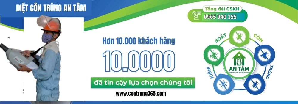 diệt côn trùng an tâm