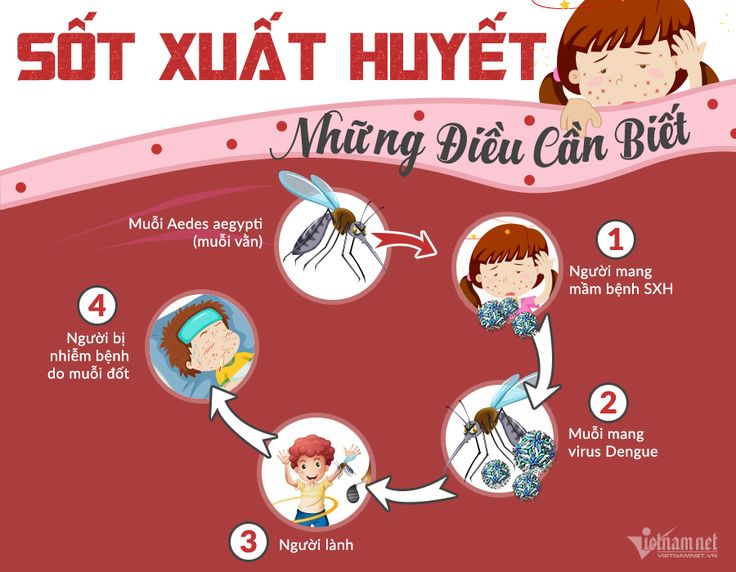 Phun-muỗi-Hà Đông