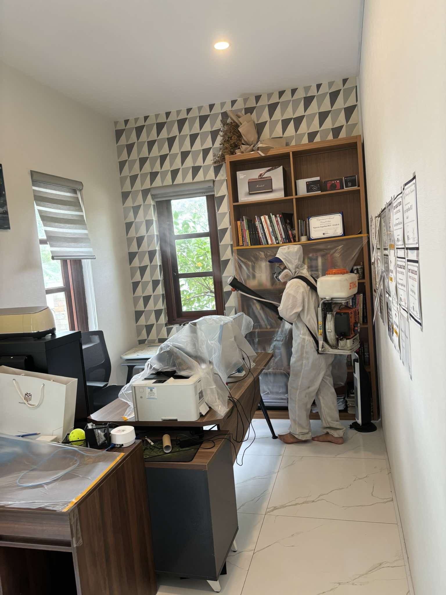 Phun-muỗi-ba-đình