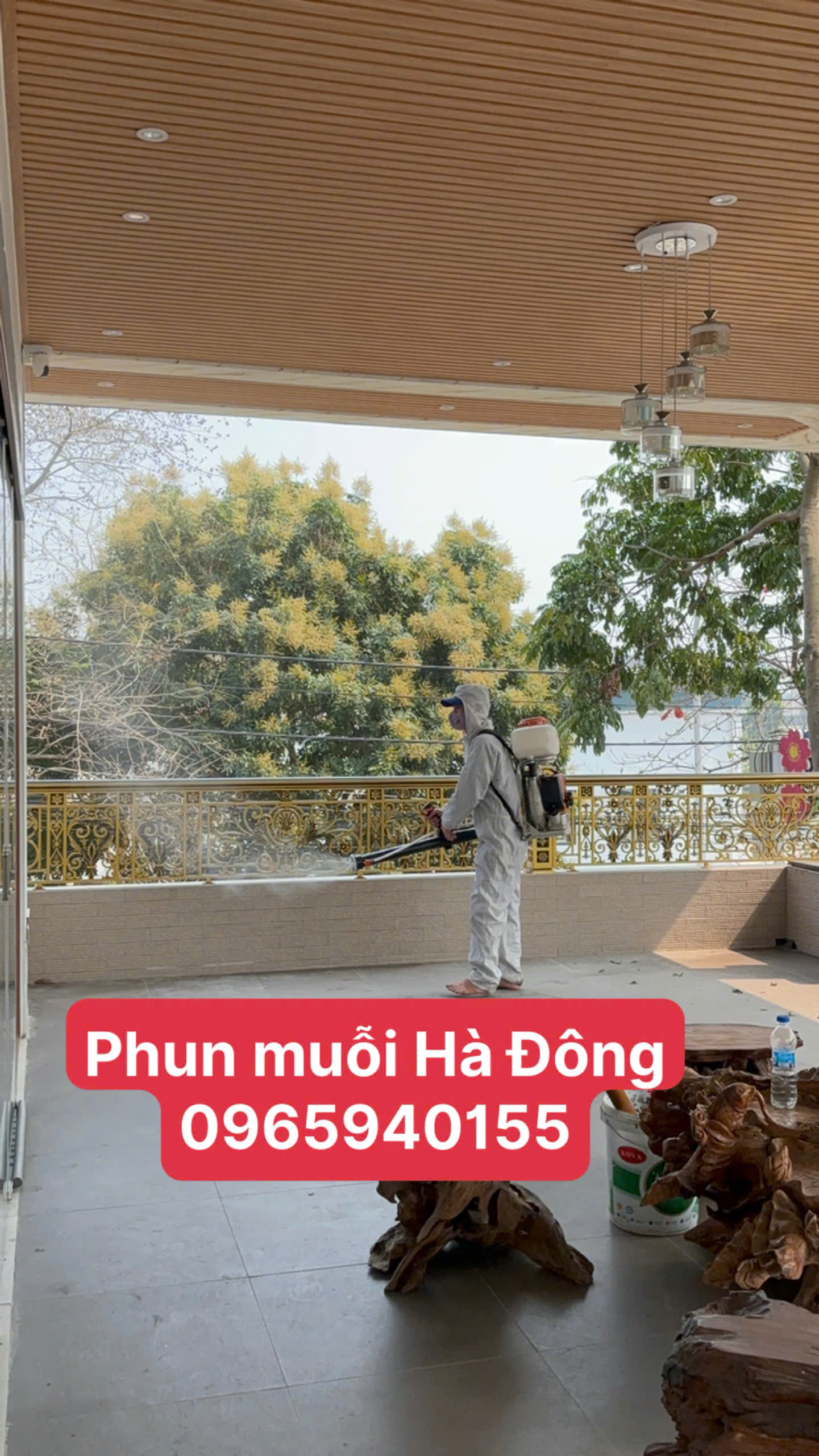 Phun-muỗi-Hà-Đông