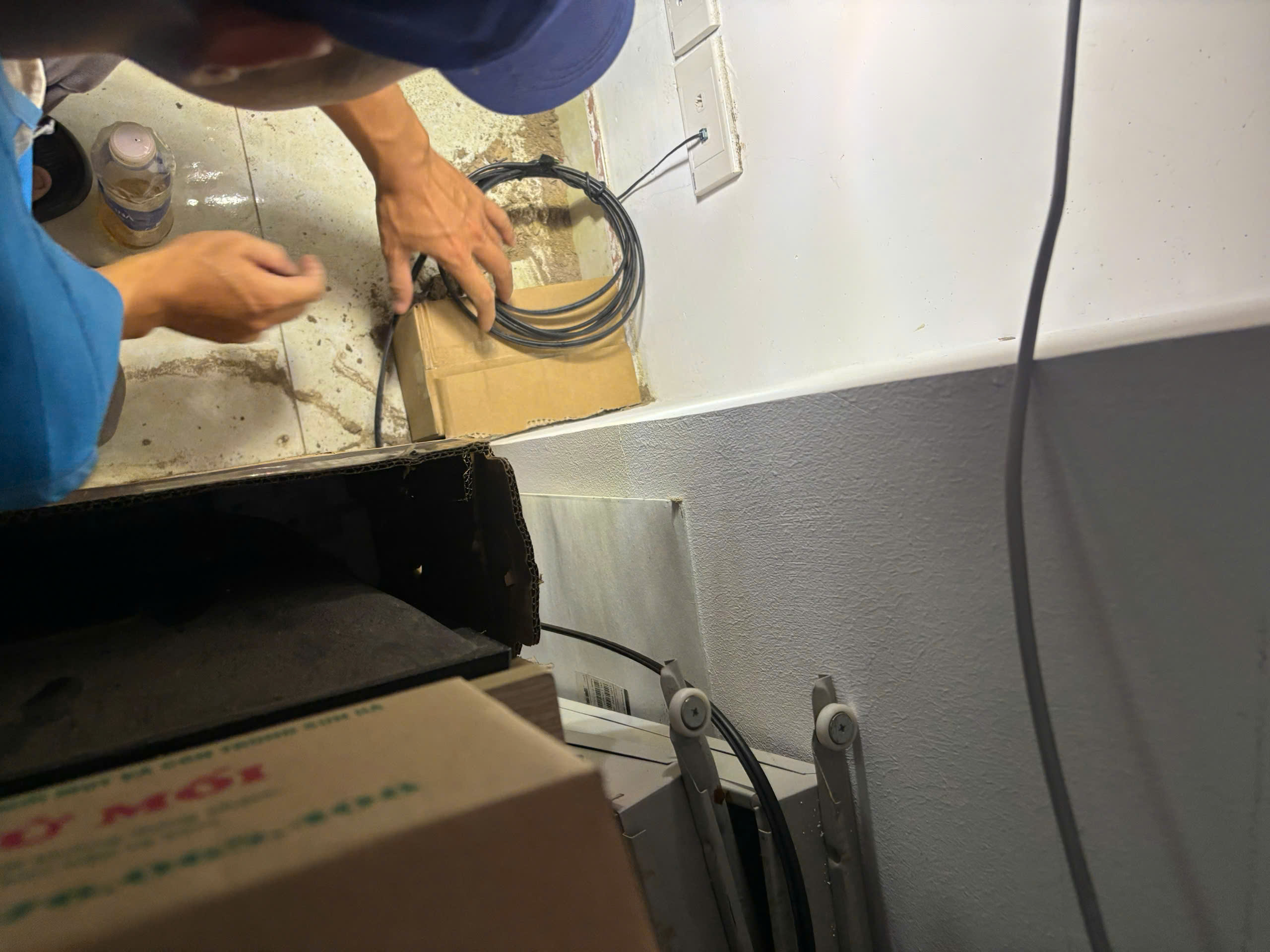 diệt mối hà nội