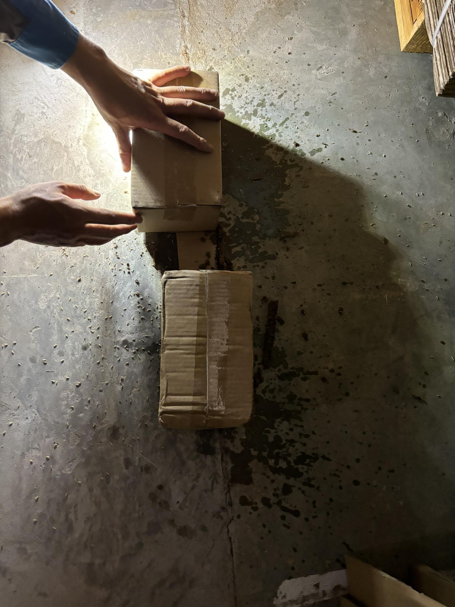 diệt-mối-Ba-Đình