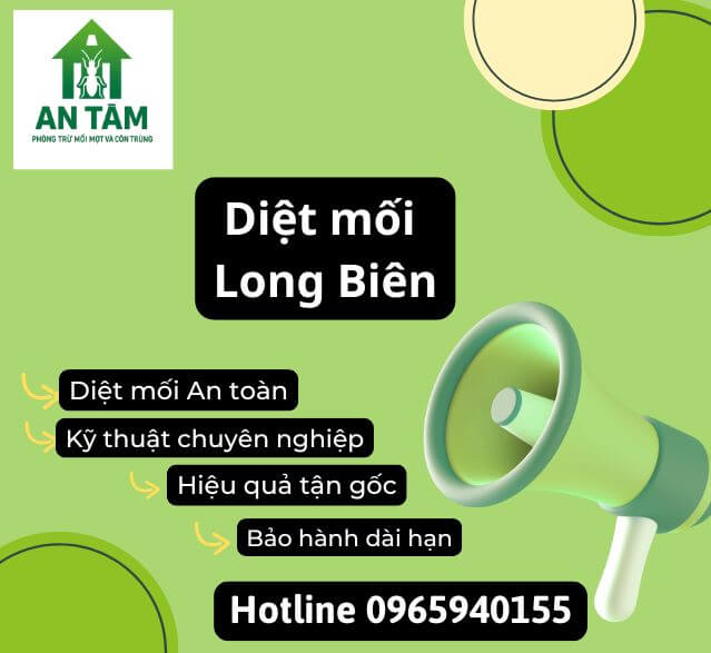 Diệt mối Long Biên