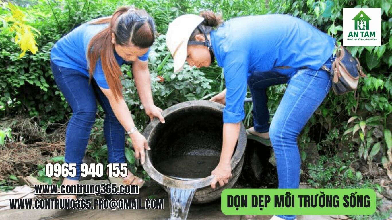 Dọn dẹp Muỗi An Tâm