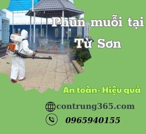 Phun muỗi tại từ Sơn