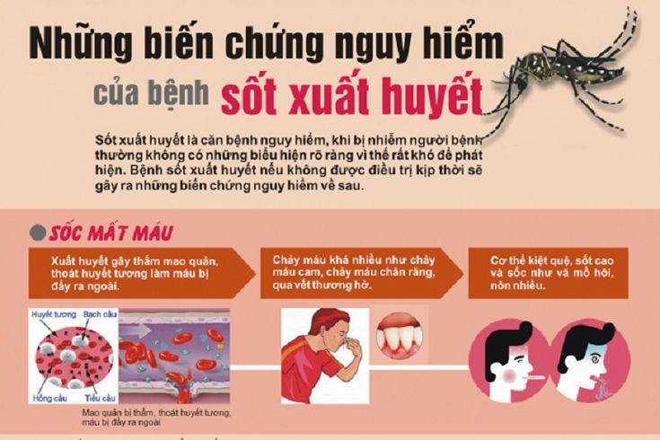 Phun-muỗi-các-chung-cư-khu-đô-thị
