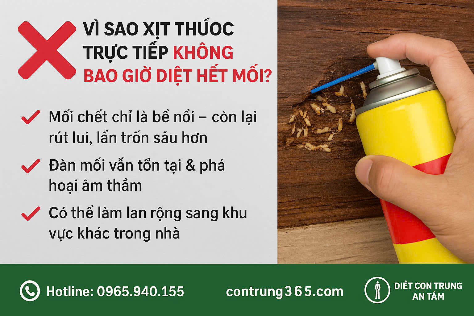 diet-moi-quan-hoang-mai