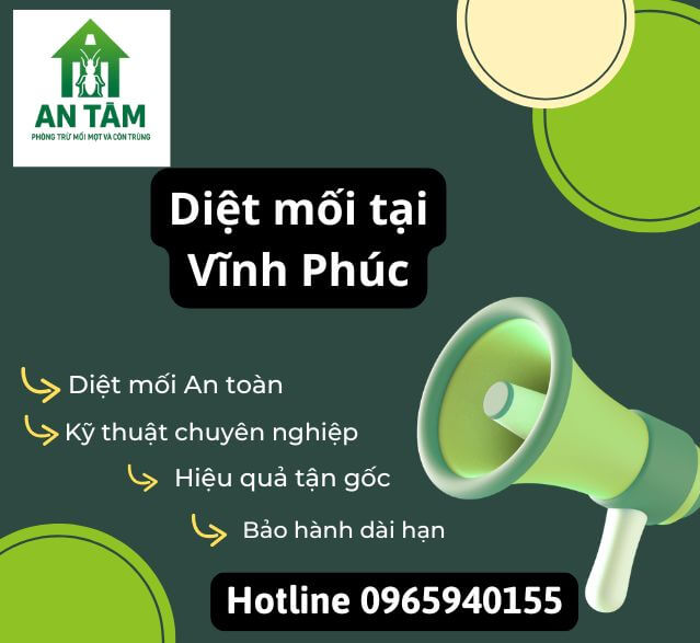diệt mối vĩnh phúc