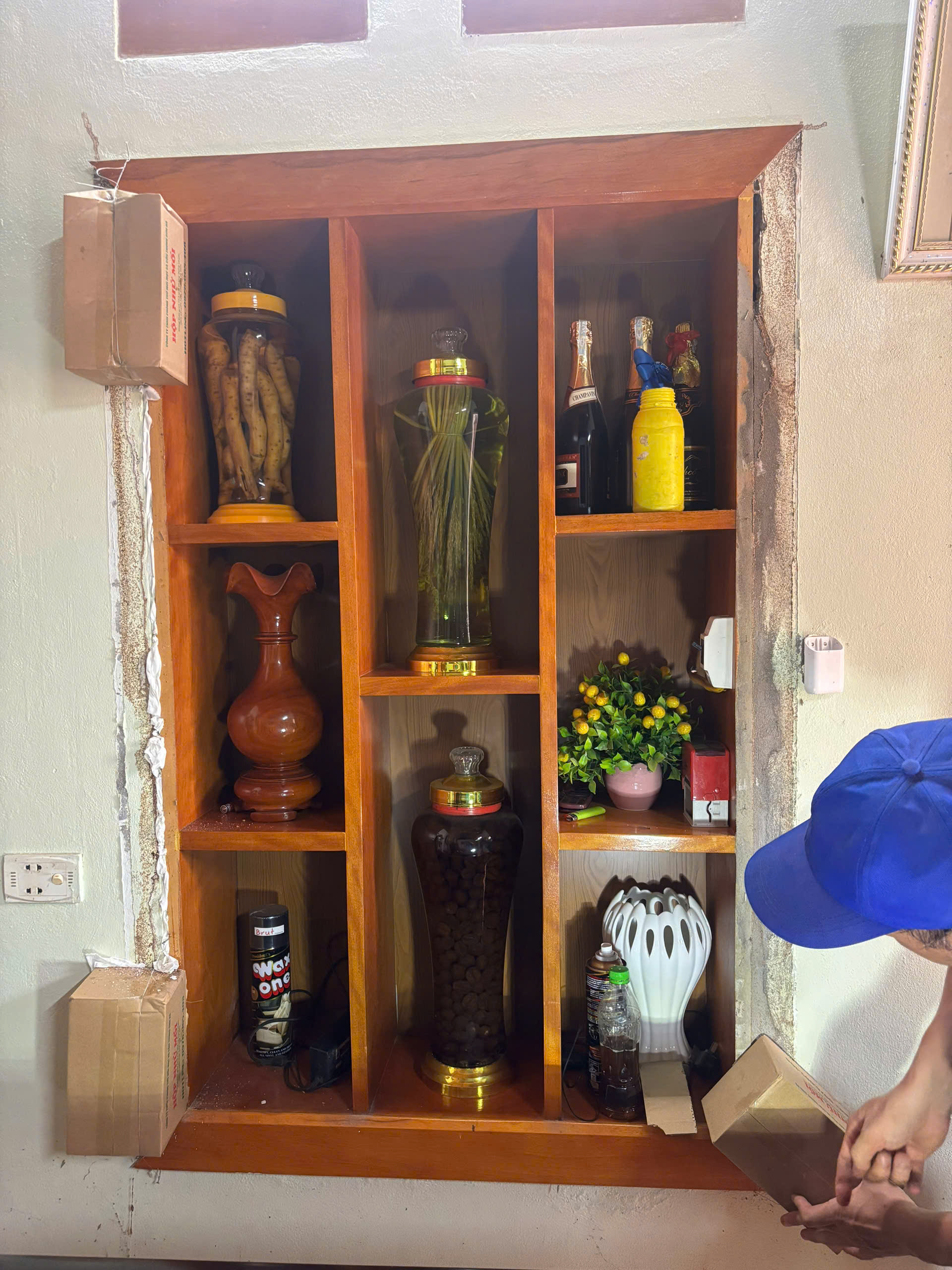 Đặt hộp nhử mối-diệt mối đan phượng