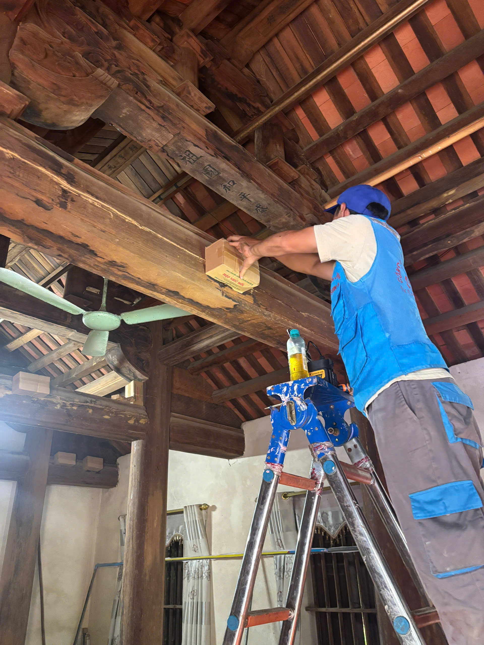 Kỹ thuật viên đặt hộp nhử mối tại nhà thờ diệt mối gia lâm