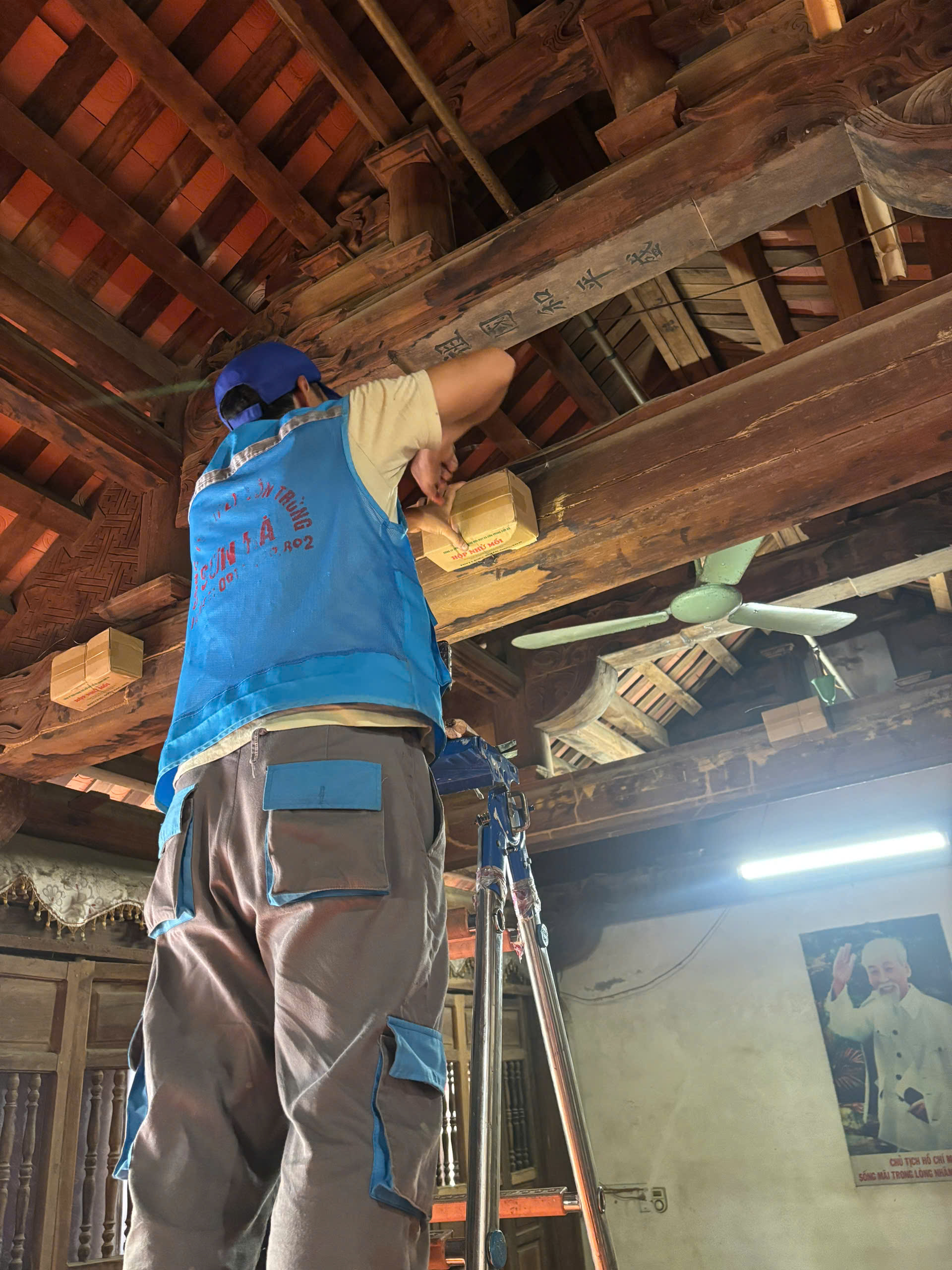 đặt hộp nhử mối diệt mối vĩnh phúc
