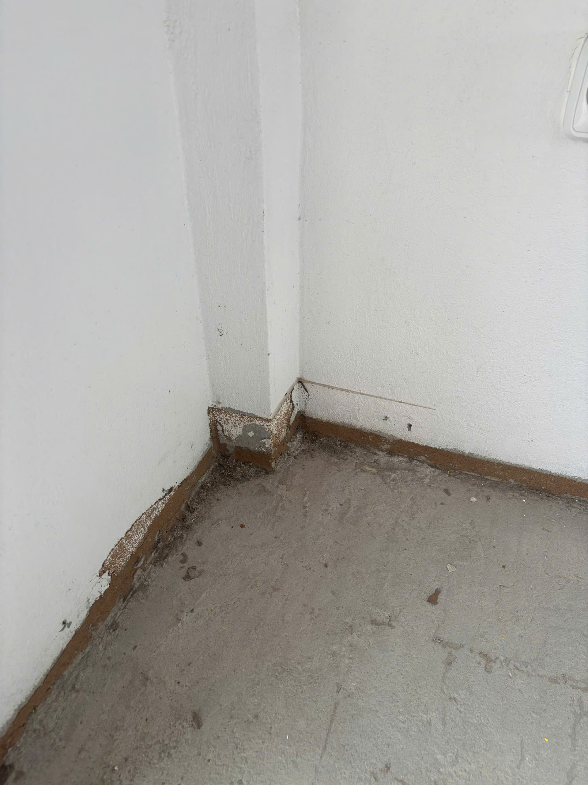 diệt mối tại cầu giấy