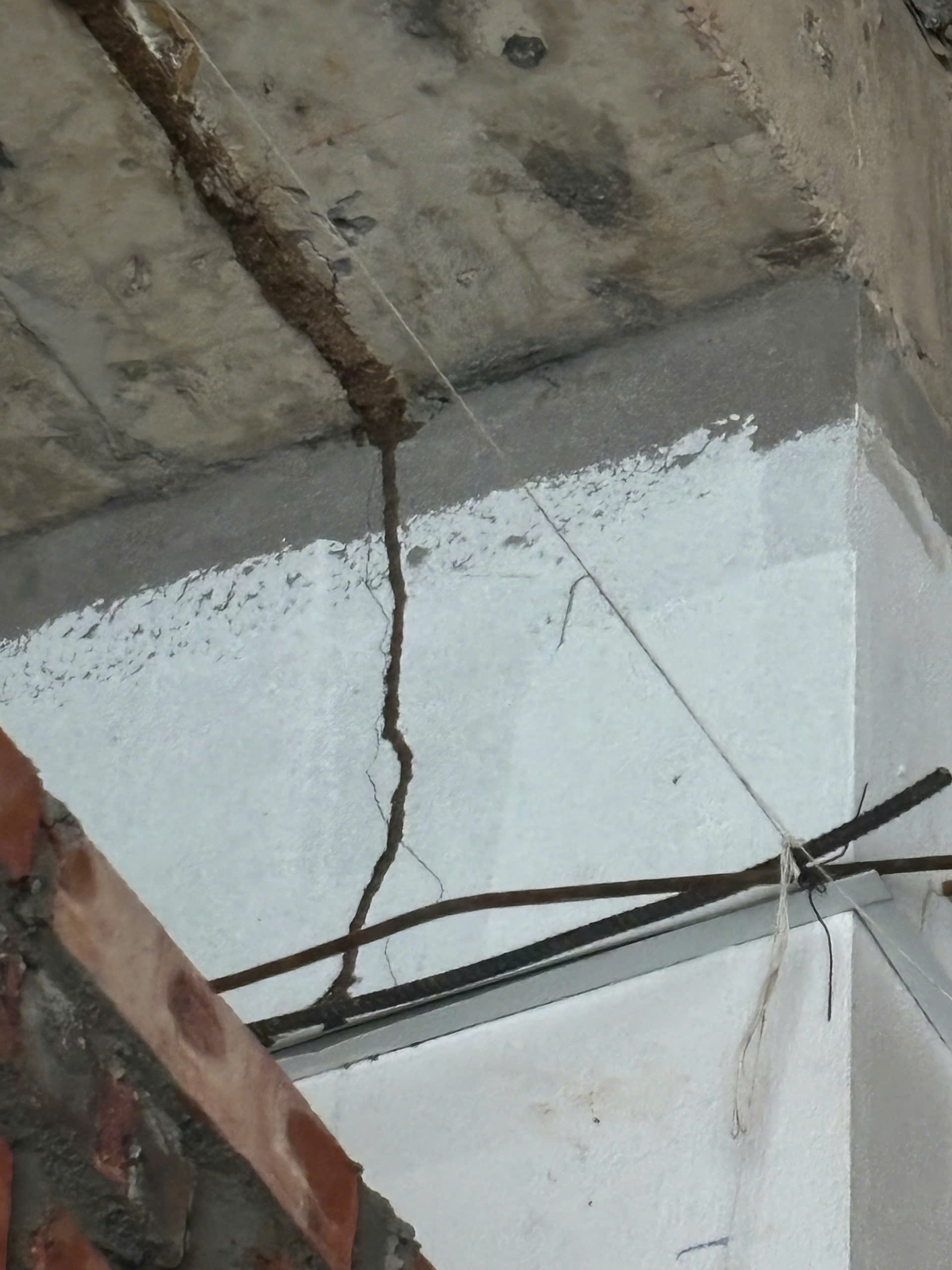 diệt mối thanh xuân