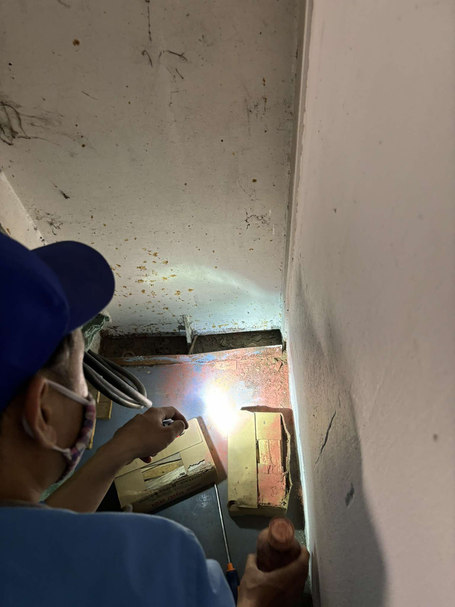 Cách phòng tránh mối hiệu quả