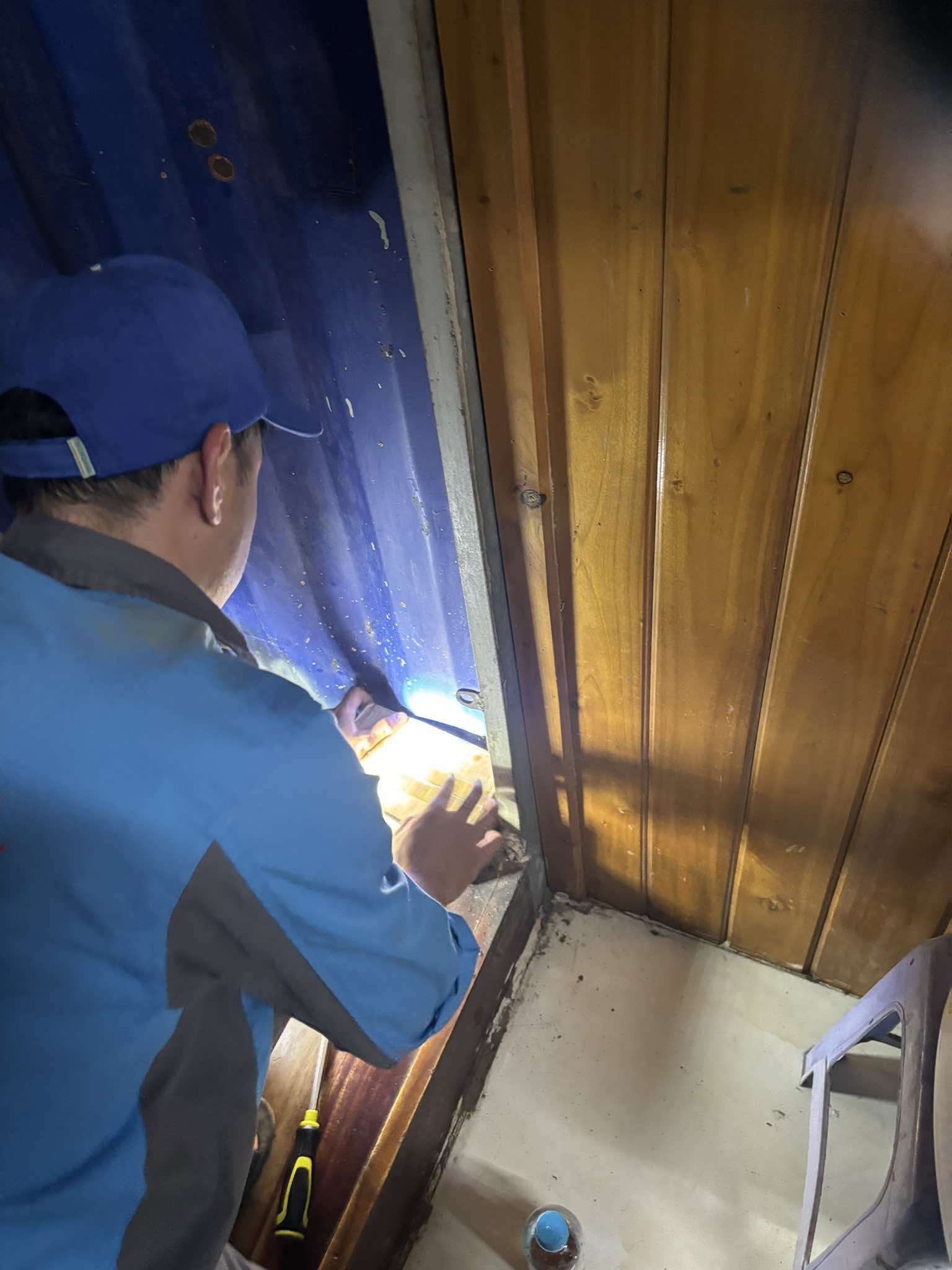 Dịch vụ diệt mối tận gốc tại Việt Trì