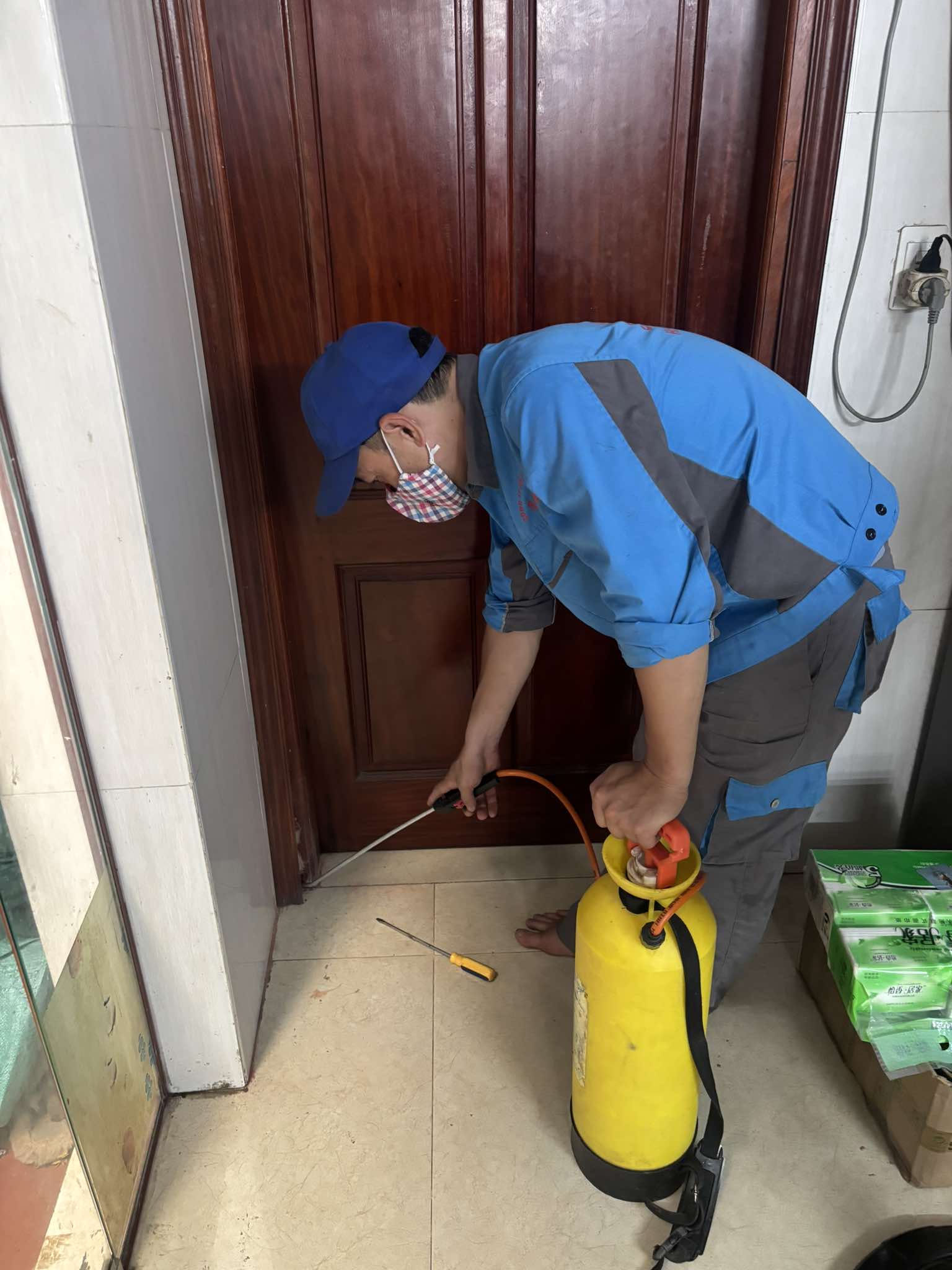 Dịch vụ diệt mối tận gốc tại Việt Trì