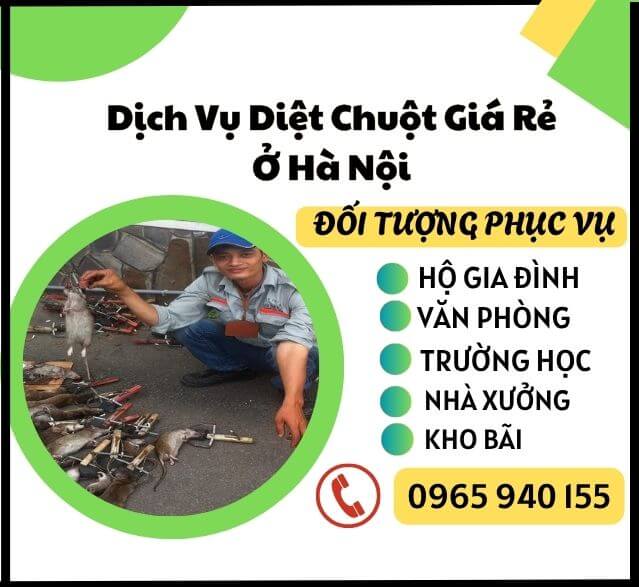 Diệt-chuột-hà-nội