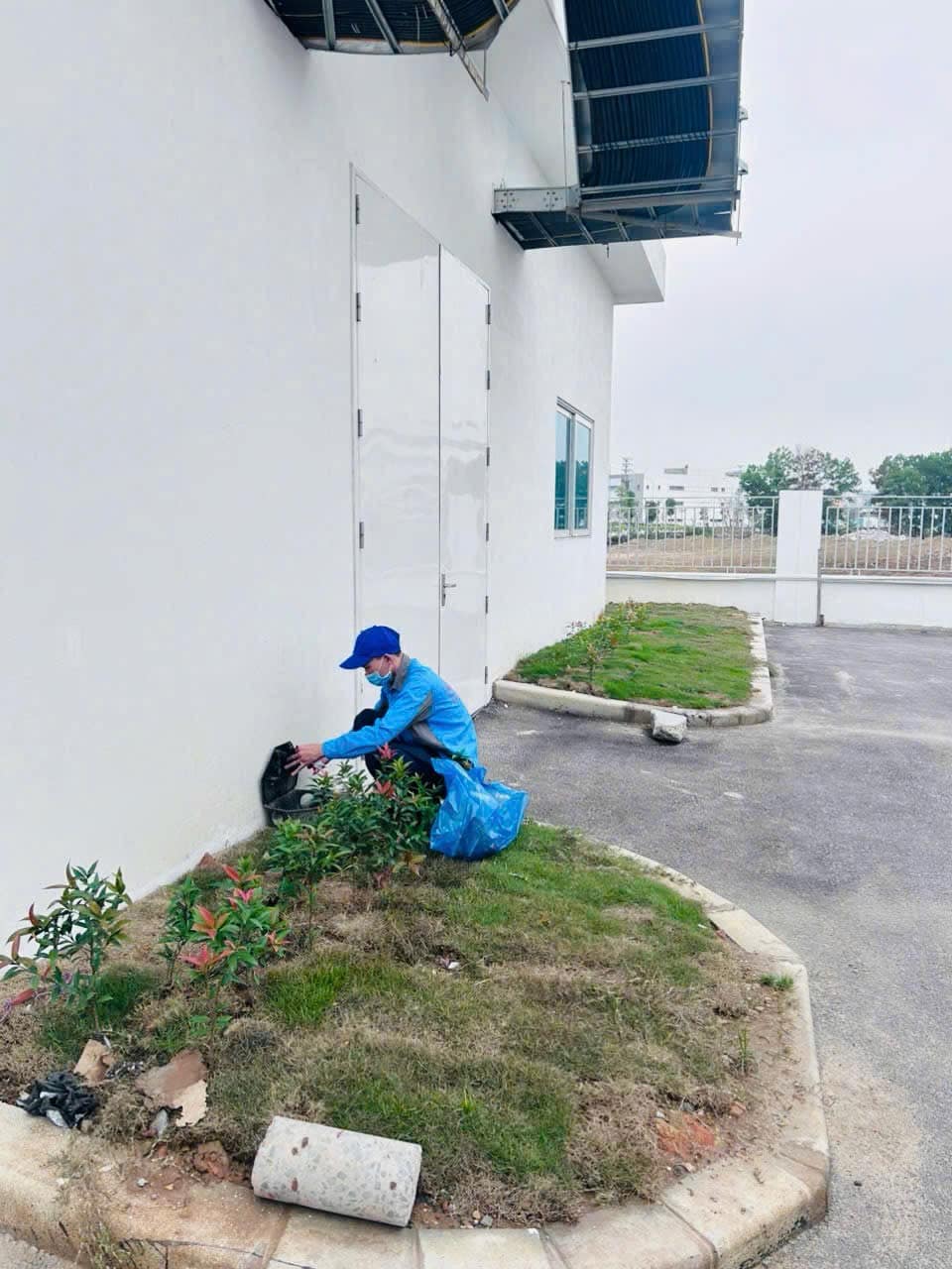 diệt-chuột-bắc-ninh