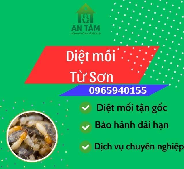 diệt mối từ sơn