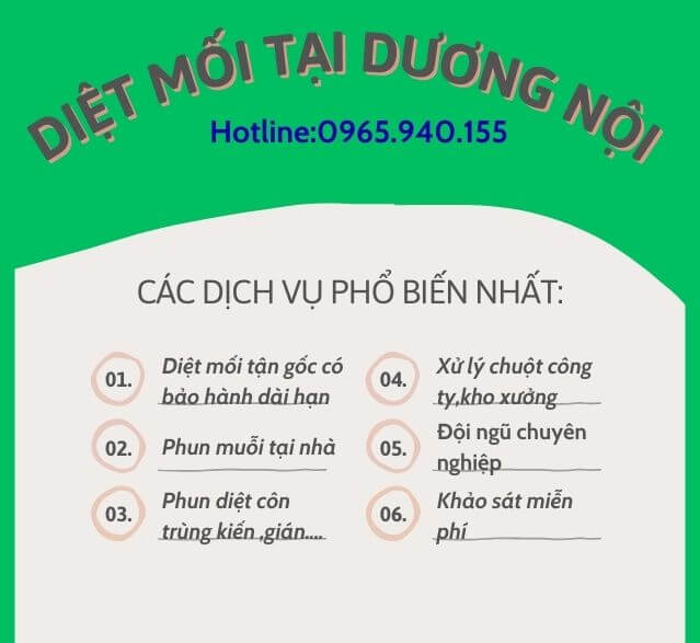 Diệt-mối-tại-dương-nội