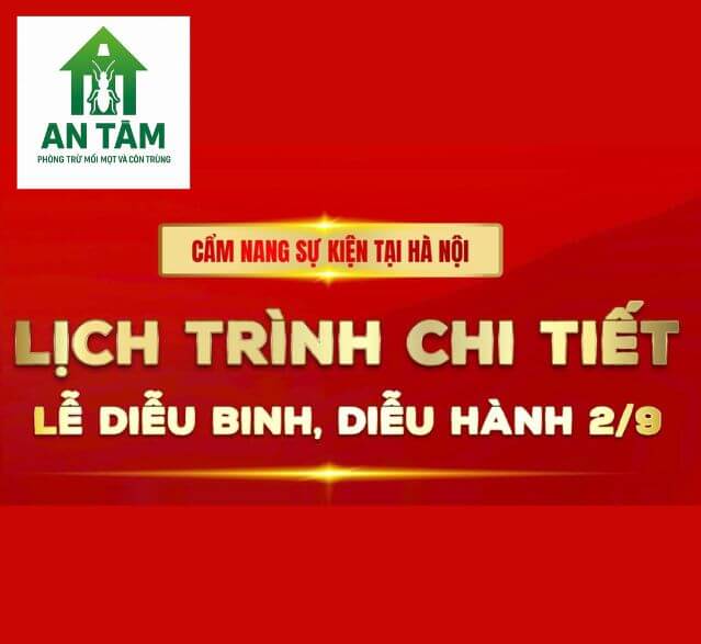 cam-nang-xem-dieu-binh