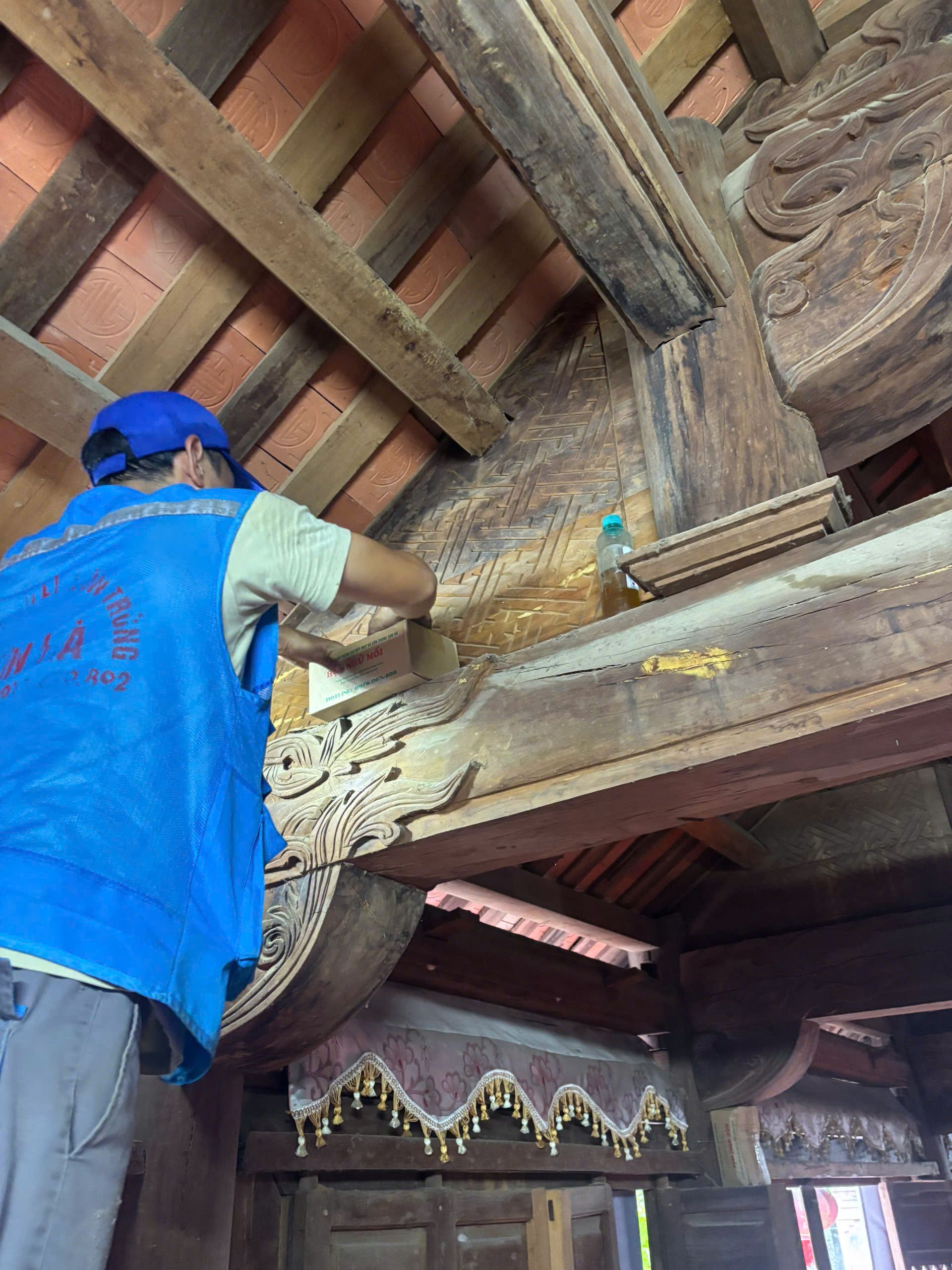 diệt-môi-tại-dương-nội