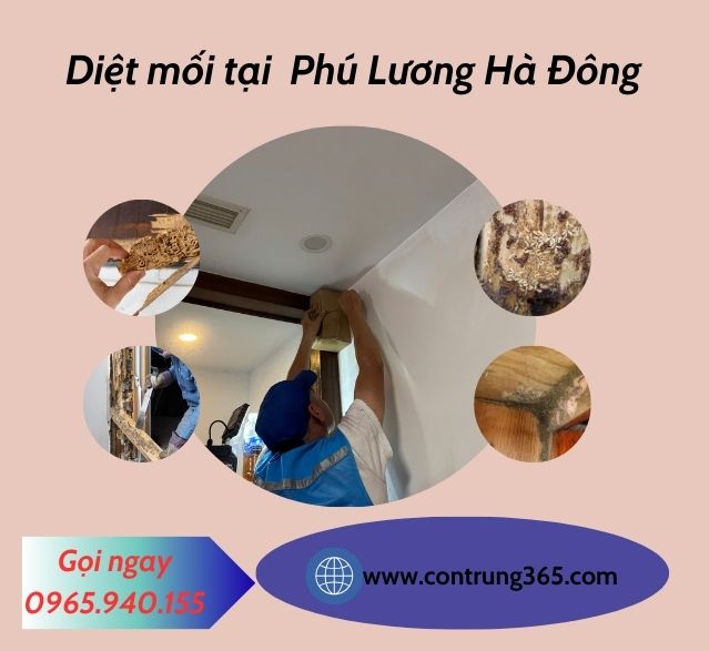 diệt-mối-phú-lương-hà-đông