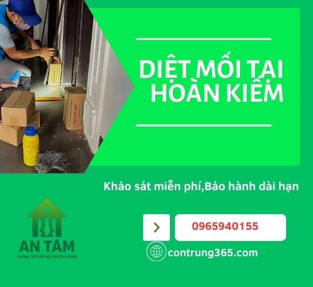diệt mối tại hoàn kiếm