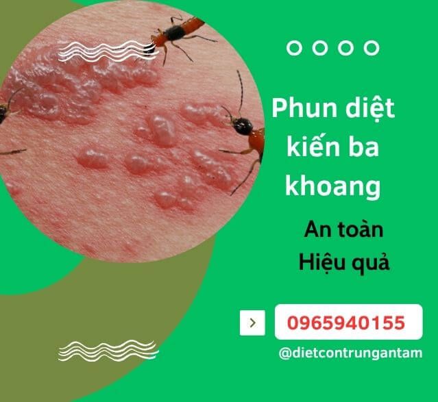 Phun-diet-kien-ba-khoang
