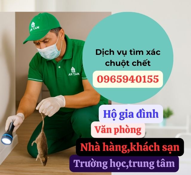 Dịch vụ tìm xác chuột chết 0965940155
