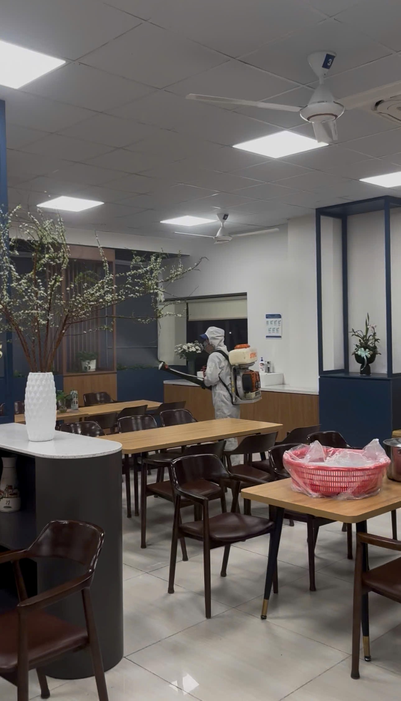 Kỹ thuật phun côn trùng tại hưng yên với bảo hộ đầy đủ