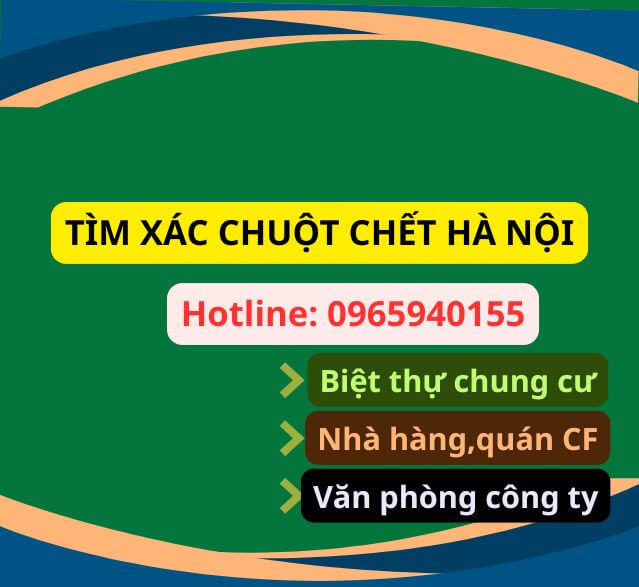tìm xác chuột chết hà nội