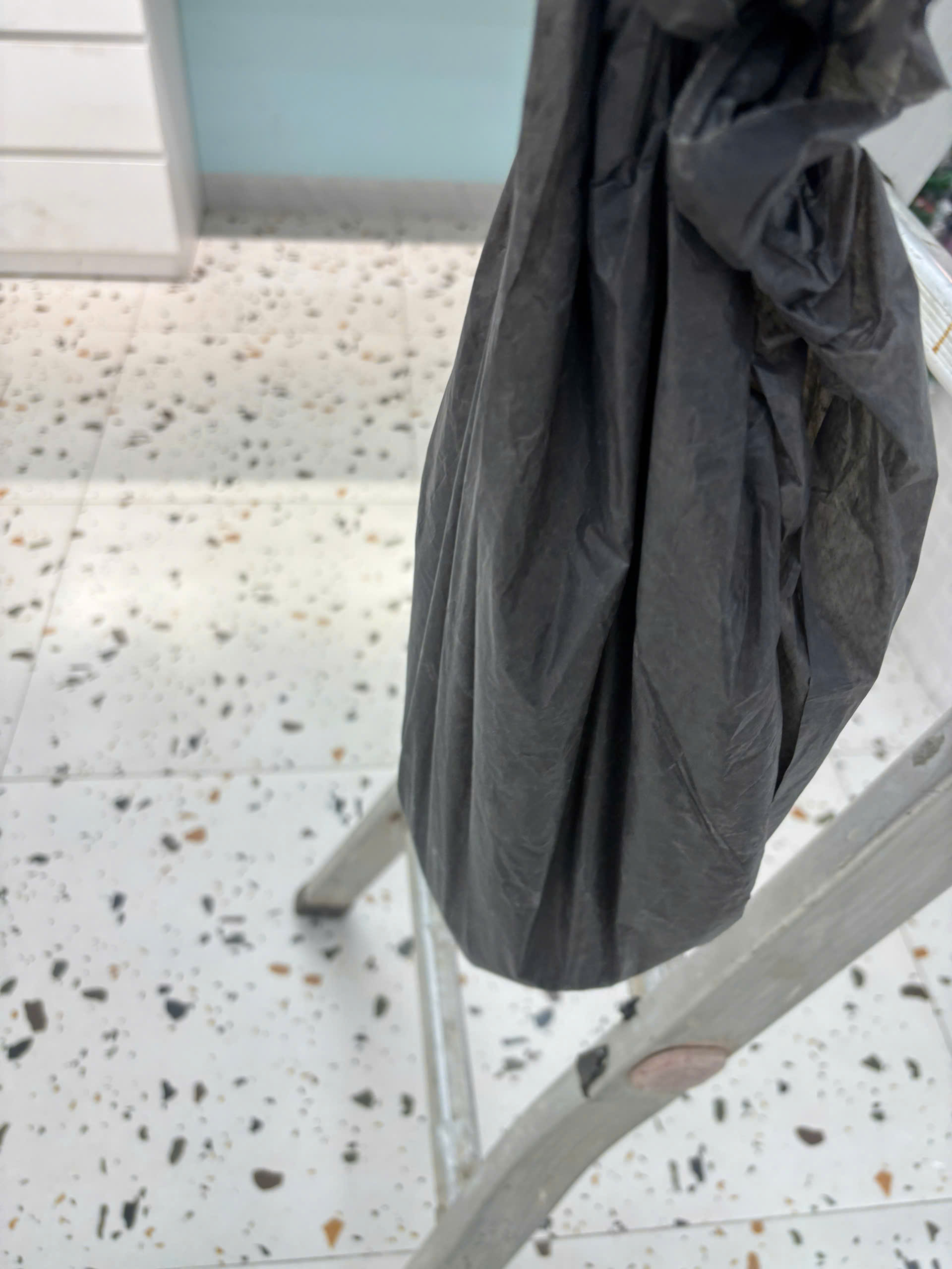 tìm xác chuột chết hà nội